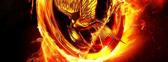 Hunger Games 3 Facebook Cover